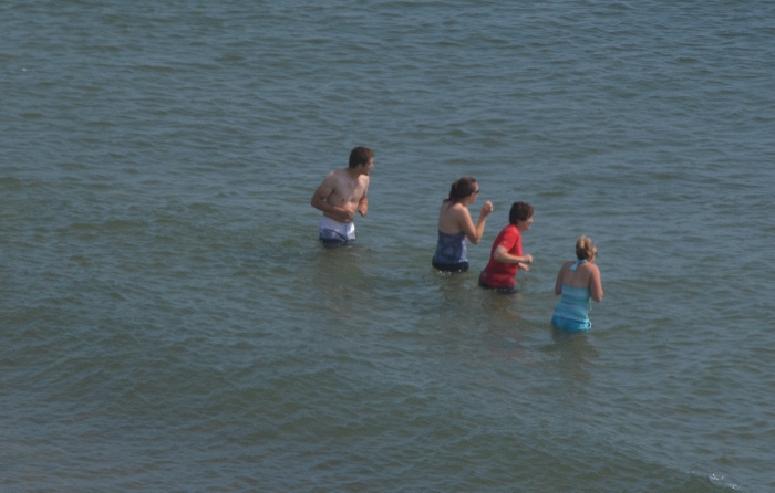swimmers in the Pacific City water